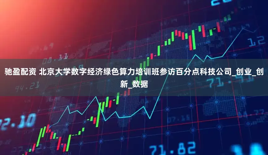 驰盈配资 北京大学数字经济绿色算力培训班参访百分点科技公司_创业_创新_数据