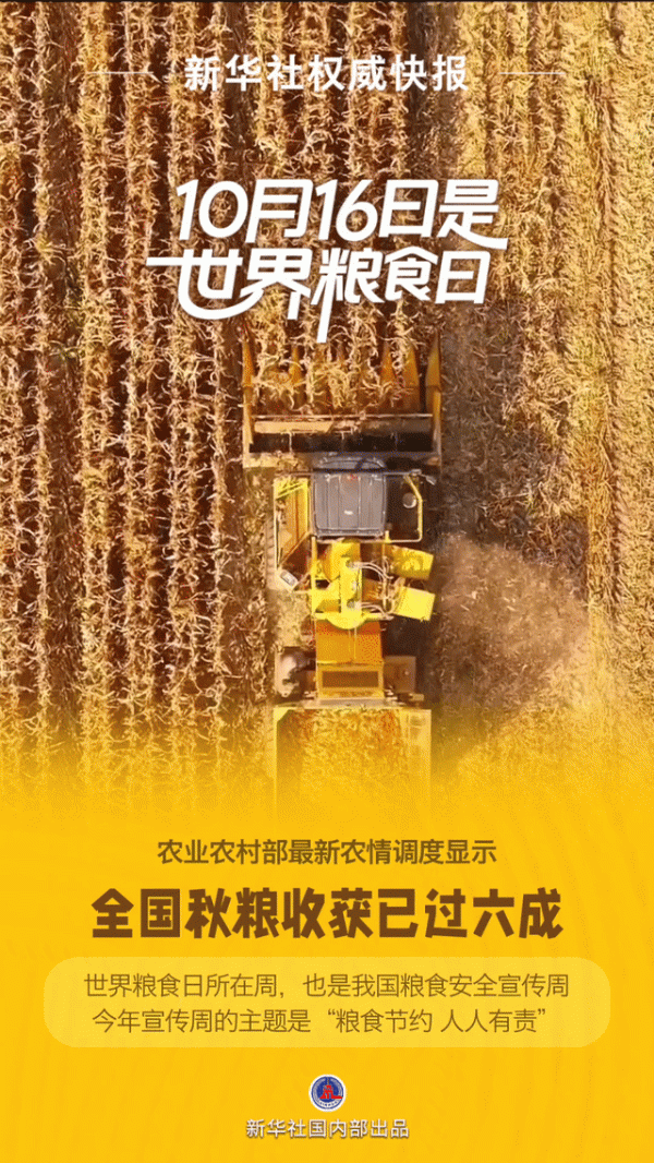 锦富优 新华鲜报|守护好“食”光！世界粮食日话“饭碗”
